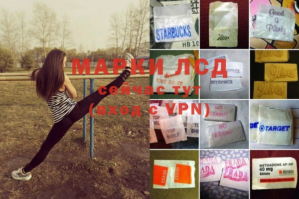 спиды Абинск